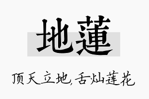 地莲名字的寓意及含义