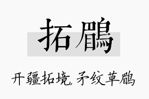 拓鹛名字的寓意及含义