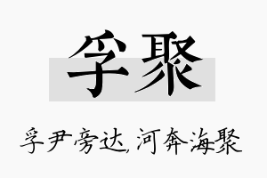 孚聚名字的寓意及含义