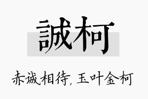 诚柯名字的寓意及含义