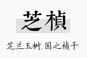 芝桢名字的寓意及含义