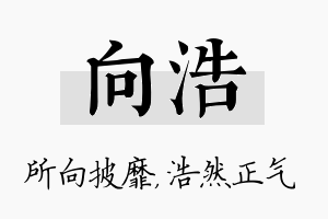 向浩名字的寓意及含义