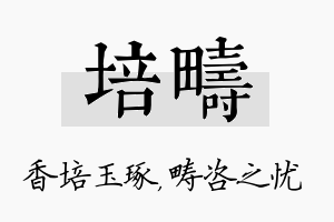 培畴名字的寓意及含义