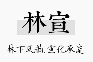 林宣名字的寓意及含义