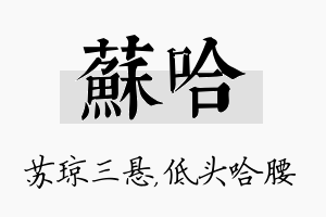 苏哈名字的寓意及含义