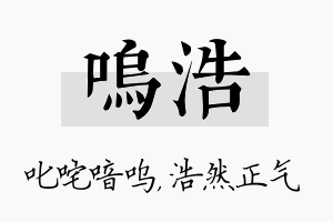 呜浩名字的寓意及含义