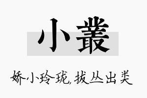 小丛名字的寓意及含义