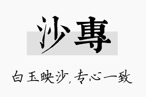 沙专名字的寓意及含义