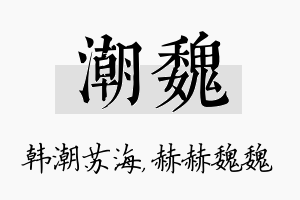 潮魏名字的寓意及含义