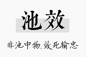 池效名字的寓意及含义