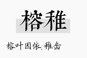 榕稚名字的寓意及含义