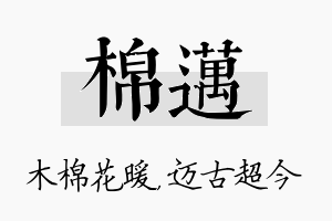 棉迈名字的寓意及含义