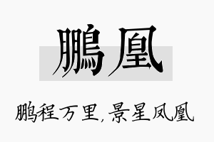 鹏凰名字的寓意及含义