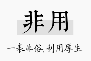 非用名字的寓意及含义