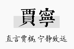 贾宁名字的寓意及含义