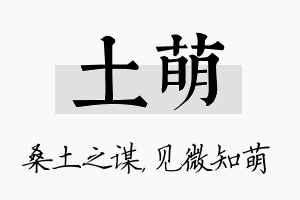 土萌名字的寓意及含义