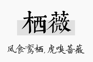 栖薇名字的寓意及含义