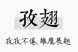 孜翅名字的寓意及含义