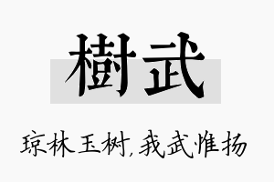 树武名字的寓意及含义