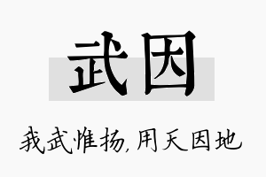 武因名字的寓意及含义