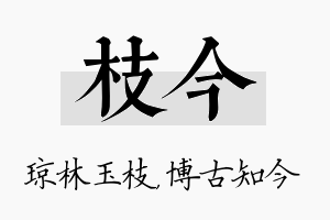 枝今名字的寓意及含义