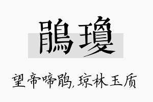 鹃琼名字的寓意及含义