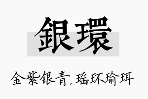 银环名字的寓意及含义