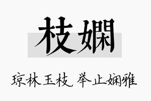 枝娴名字的寓意及含义