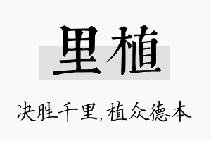 里植名字的寓意及含义