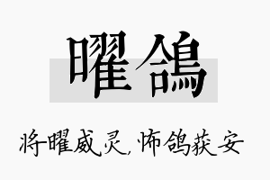 曜鸽名字的寓意及含义