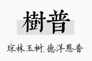 树普名字的寓意及含义