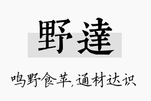 野达名字的寓意及含义