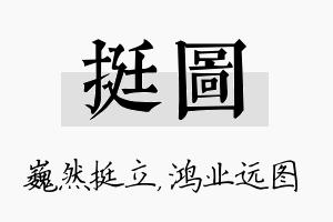 挺图名字的寓意及含义