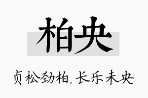 柏央名字的寓意及含义