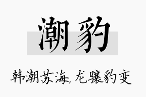 潮豹名字的寓意及含义