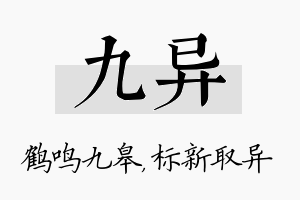 九异名字的寓意及含义