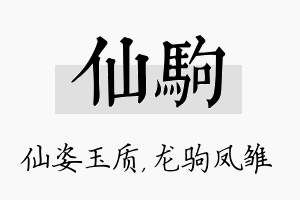 仙驹名字的寓意及含义