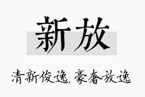 新放名字的寓意及含义