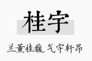 桂宇名字的寓意及含义