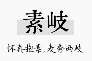 素岐名字的寓意及含义