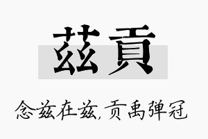 兹贡名字的寓意及含义