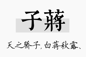 子蒋名字的寓意及含义