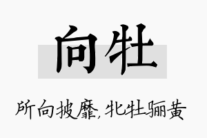 向牡名字的寓意及含义