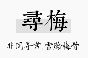 寻梅名字的寓意及含义