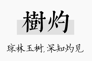 树灼名字的寓意及含义