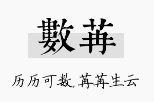 数苒名字的寓意及含义