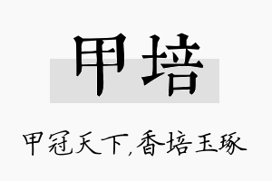 甲培名字的寓意及含义