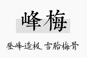 峰梅名字的寓意及含义