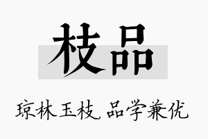 枝品名字的寓意及含义