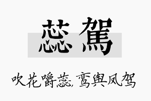 蕊驾名字的寓意及含义